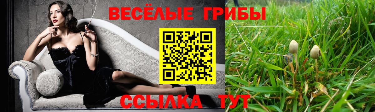 Великие Луки  Псилоцибиновые грибы GOLDEN TEACHER  Вход с VPN 